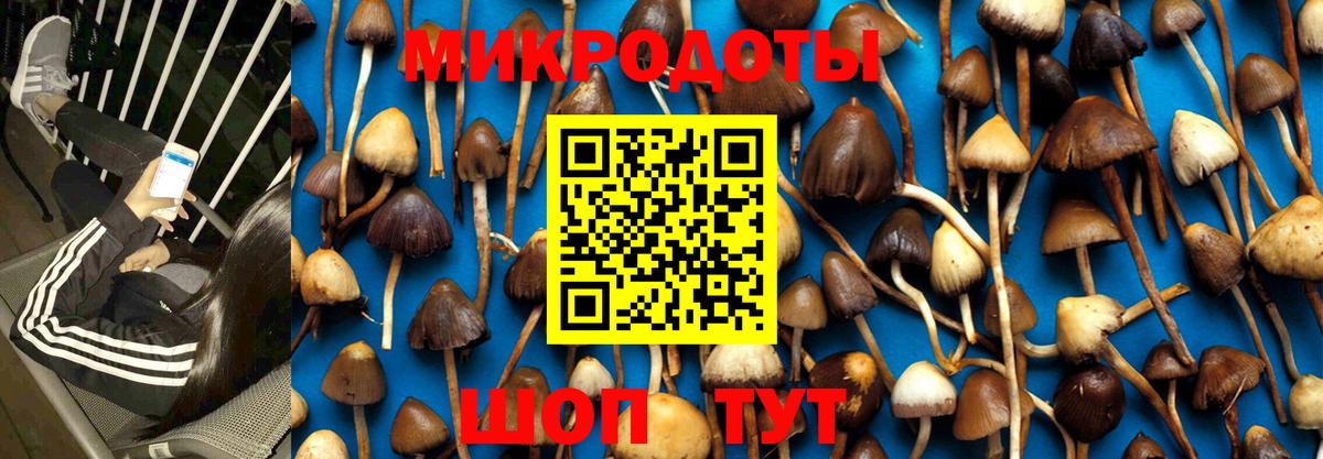 купить наркотики сайты  Галлюциногенные грибы Magic Shrooms  Вход с VPN  Псилоцибиновые грибы GOLDEN TEACHER  Тутаев 